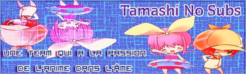 Bannière de la team Tamashi-no-Sub
