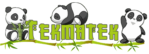 Bannière de la team Tekmatek Fansub