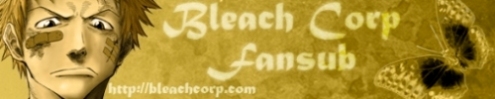 Bannière de la team BleachCorp