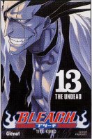 BleachVol13.jpg