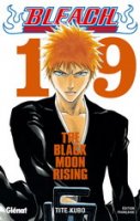 BleachVol19.jpg