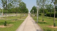 DSC04509.JPG