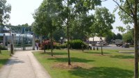 DSC04510.JPG