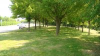 DSC04515.JPG
