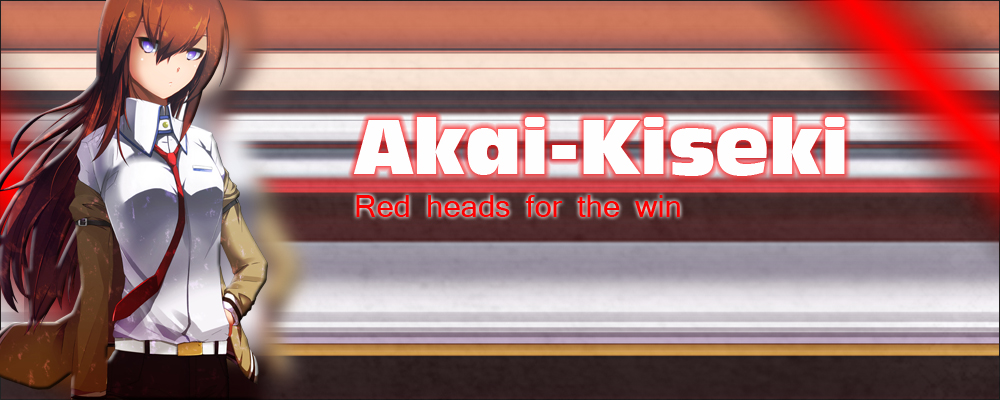 Bannière de la team Akai-Kiseki